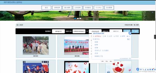 SpringBoot濒危动物保护公益网站系统设计与实现